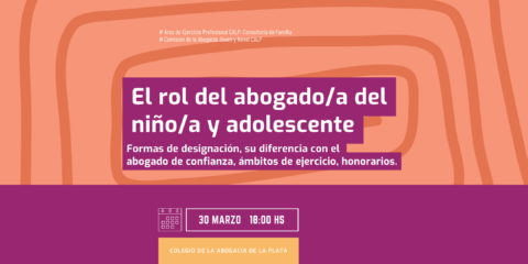 El rol del abogado/a del niño/a y adolescente