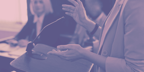 ETAPA INTERMEDIA Y JUICIO ORAL DOS ESCENARIOS, UNA ESTRATEGIA DE LITIGACIÓN