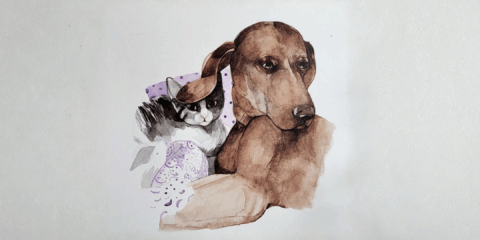 Seminario en Derecho Animal