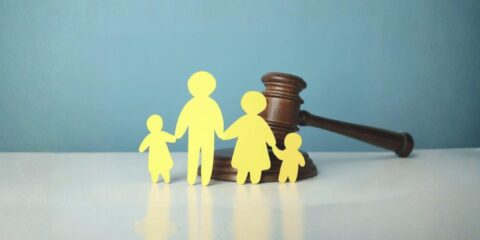 EL DERECHO SISTÉMICO APLICADO AL DERECHO DE LAS FAMILIAS