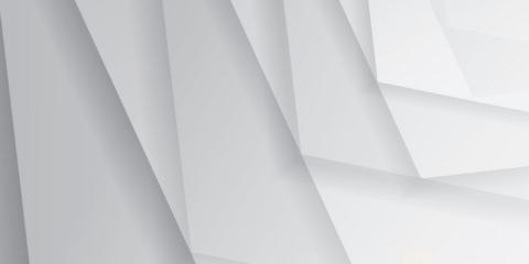 LA PERSPECTIVA DE GÉNERO COMO HERRAMIENTA EN EL PROCEDIMIENTO DISCIPLINARIO