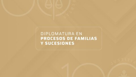 DIPLOMATURA PROCESOS DE FAMILIAS Y SUCESIONES