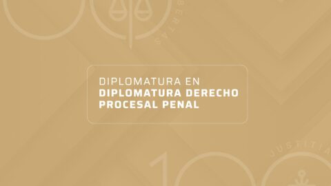DIPLOMATURA EN DERECHO PROCESAL PENAL