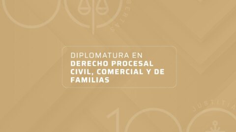 DIPLOMATURA EN DERECHO PROCESAL CIVIL, COMERCIAL Y DE FAMILIAS
