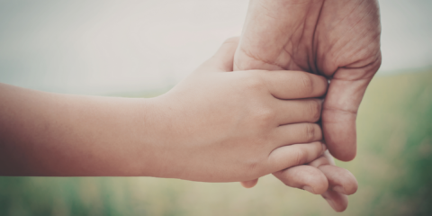 GUÍA DE BUENAS PRÁCTICAS PARA LA IMPLEMENTACIÓN DE LA LEY 15.513