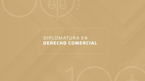 DIPLOMATURA EN DERECHO COMERCIAL