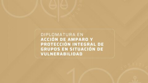 DIPLOMATURA EN ACCION AMPARO