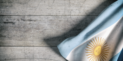 COMPETENCIA FEDERAL EN EL OTORGAMIENTO DE CIUDADANIA ARGENTINA